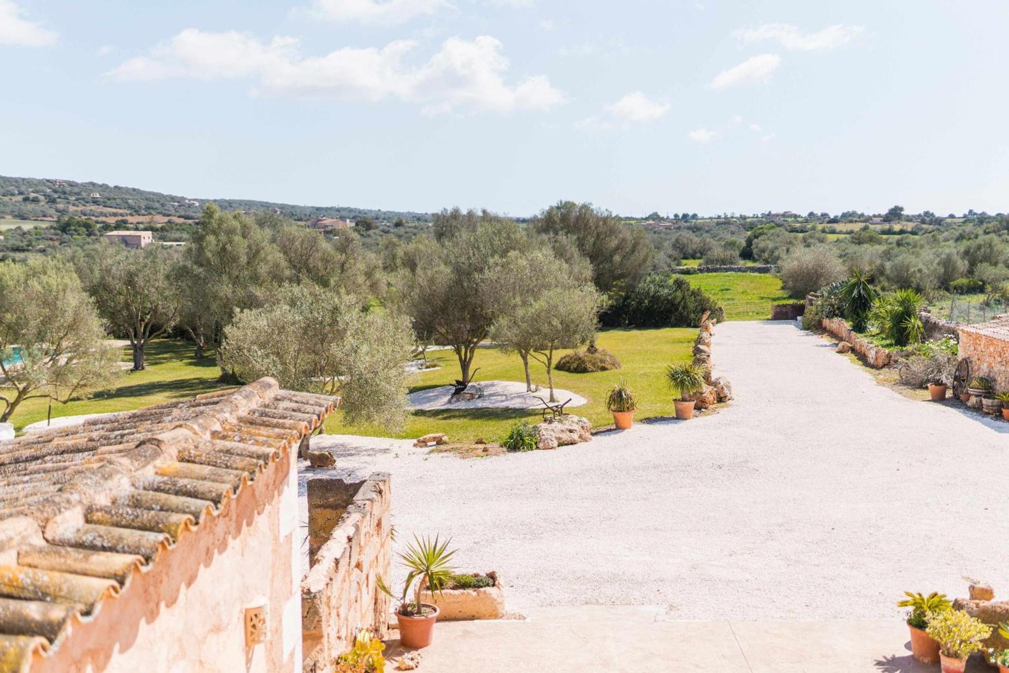 Agroturismo Sa Canoveta Colonia de Sant Jordi Værelse billede
